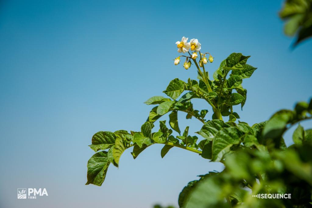 Gallery - Pro Modern Agro